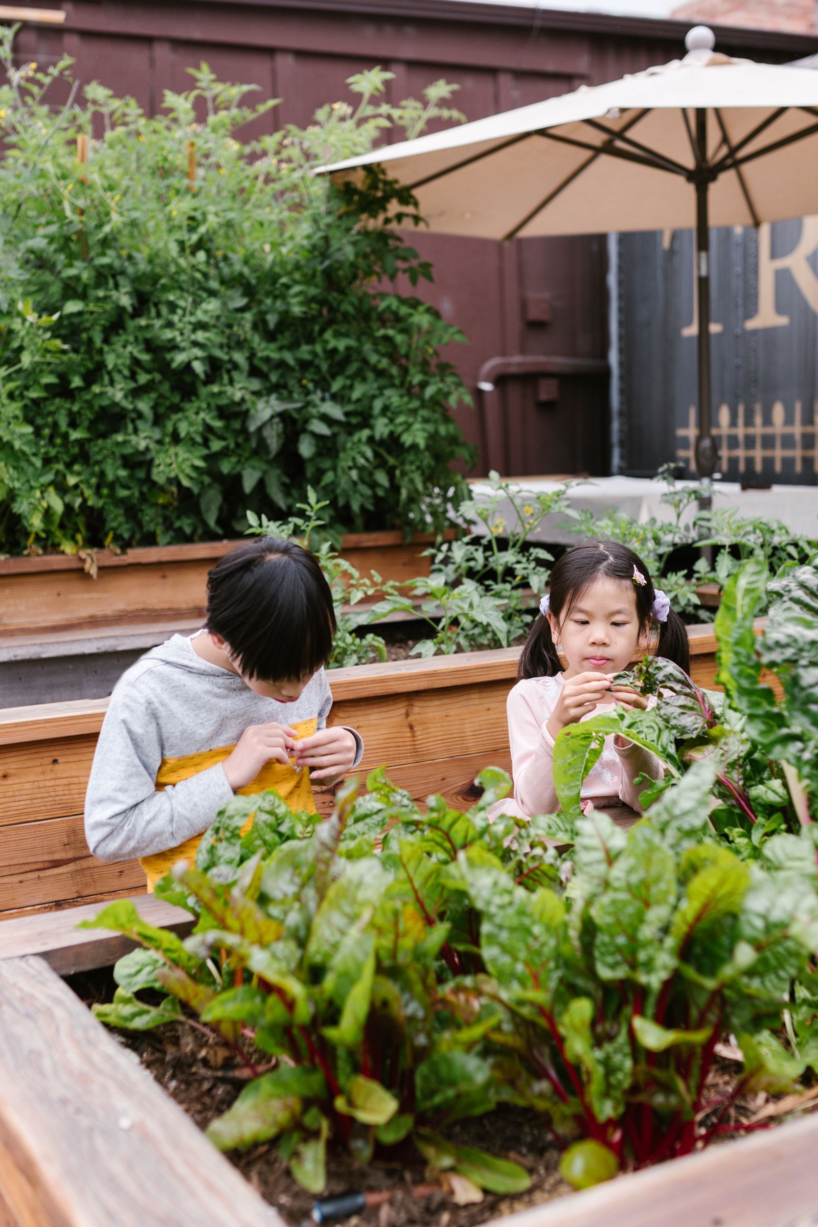 Raised garden beds
